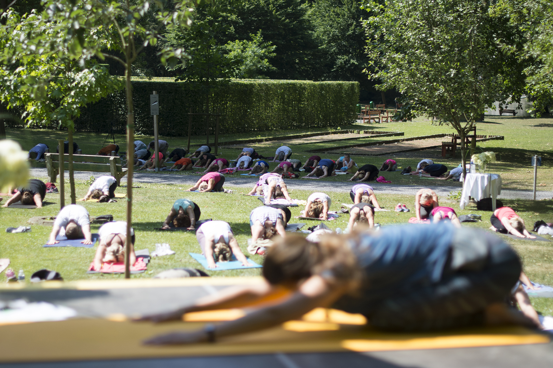 Journée mondiale du yoga 2017 Journée mondiale du yoga 2017